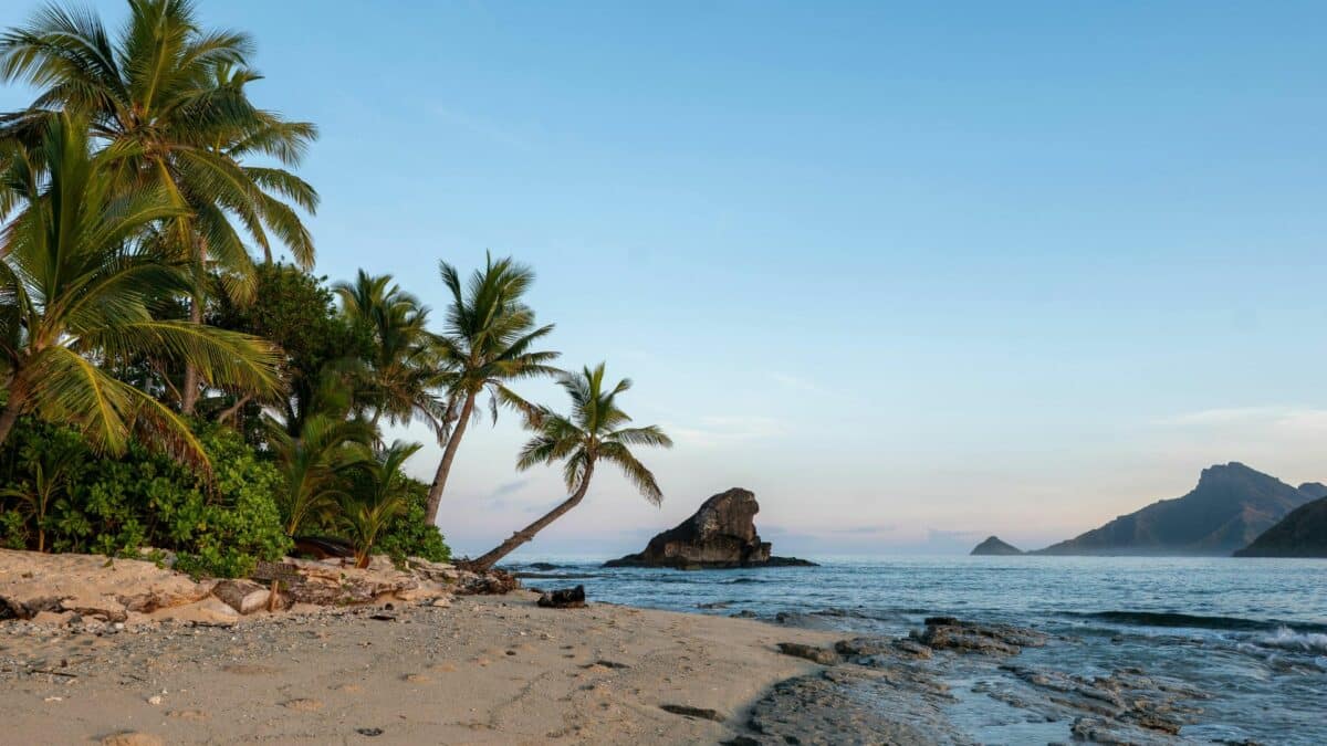 Plage sauvage bordée de palmiers avec océan à La Réunion