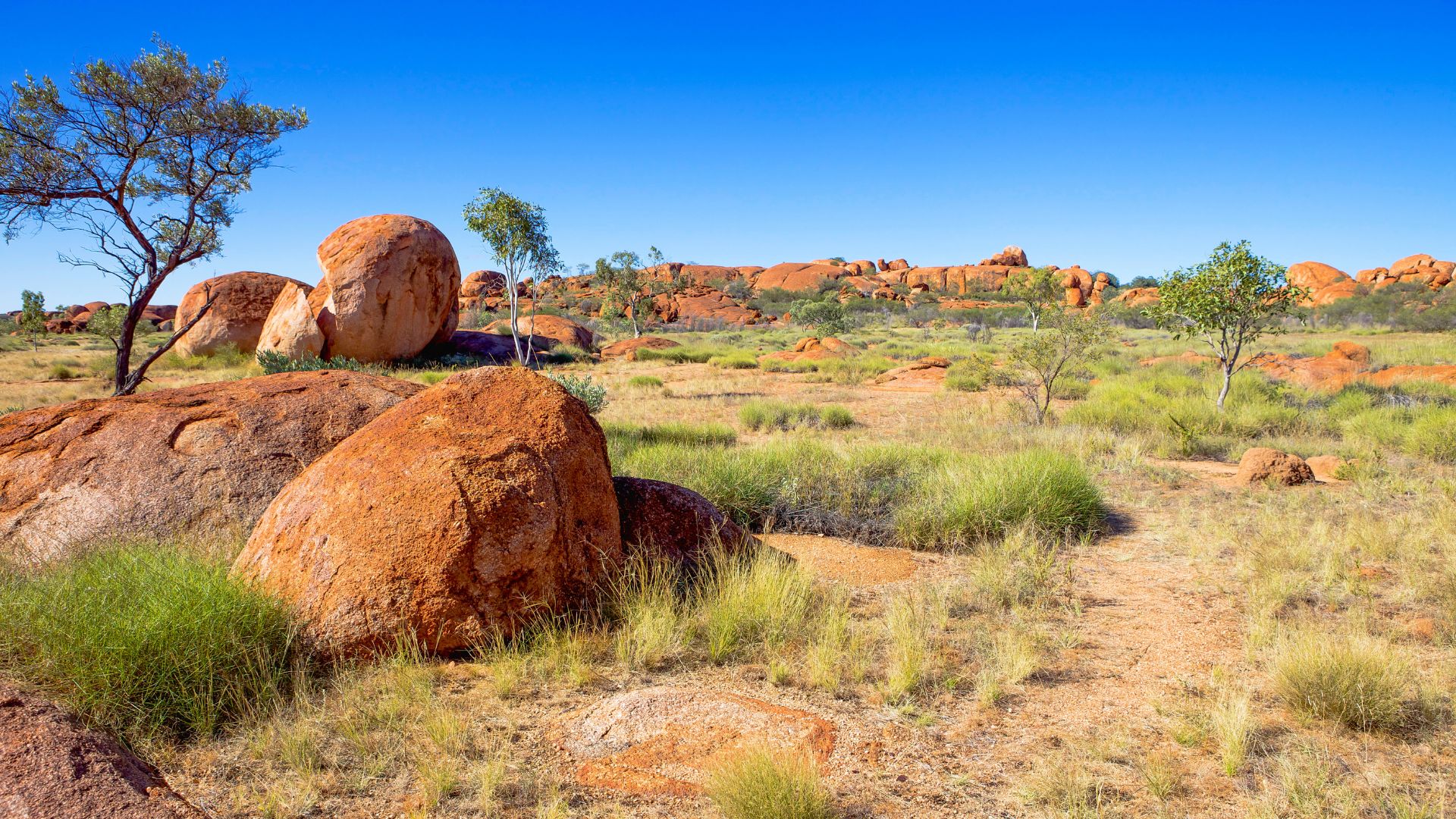 Paysage désertique avec rochers rouges et végétation sparse dans l’outback australien