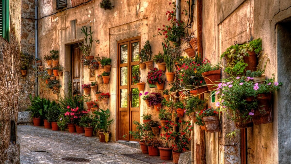 Ruelle typique de Majorque avec maison décorée de pots de fleurs