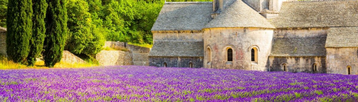 Abbaye de Sénanque entourée d’un champ de lavande en fleurs, en Provence.