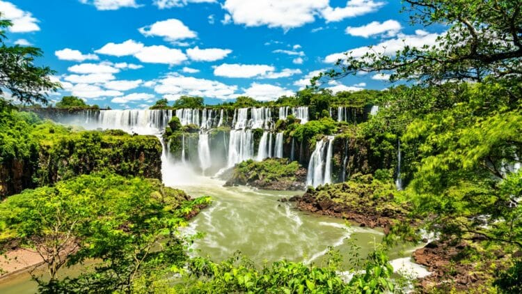 Panorama des chutes d’Iguazú entourées de végétation luxuriante dans le nord de l’Argentine.