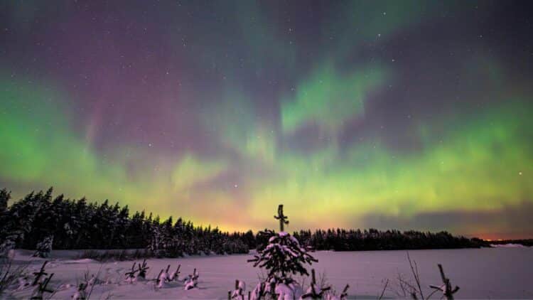 Aurores boréales vertes et violettes illuminant un paysage enneigé de Laponie suédoise.