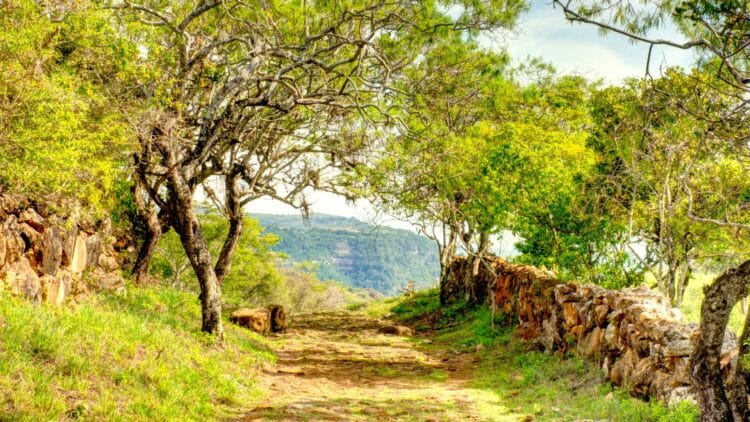 Sentier historique du Camino Real dans la région de Santander en Colombie.