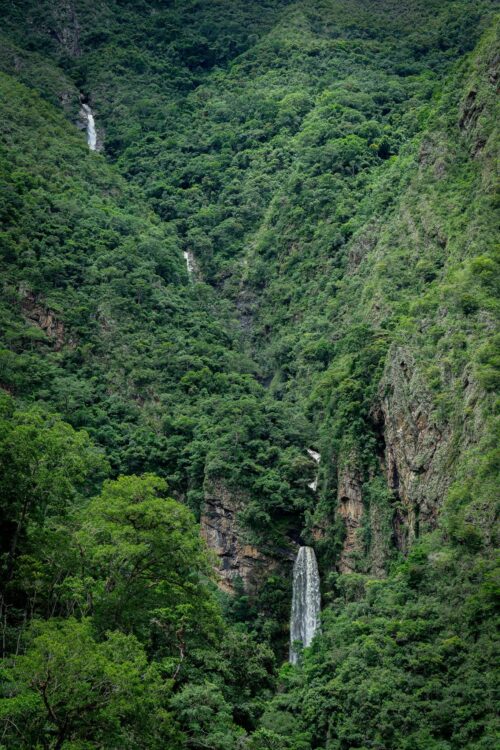 Cascade au milieu d'une forêt dense des Andes péruviennes.