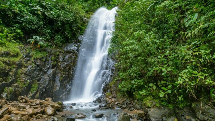 Cascade au cœur d’une forêt tropicale luxuriante au Costa Rica.