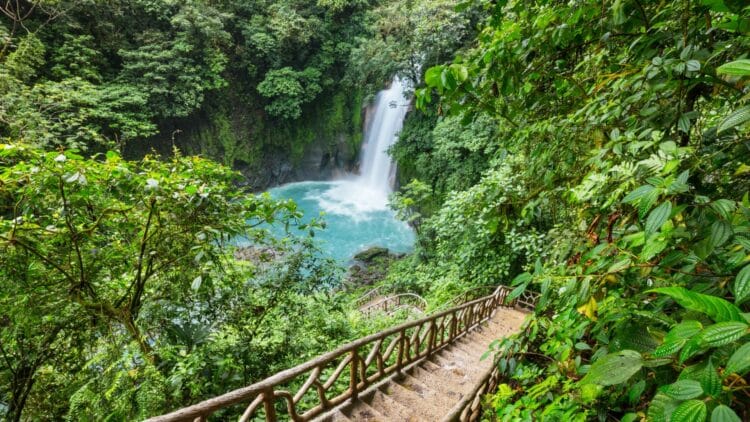 Cascade au cœur de la forêt tropicale luxuriante du Costa Rica.