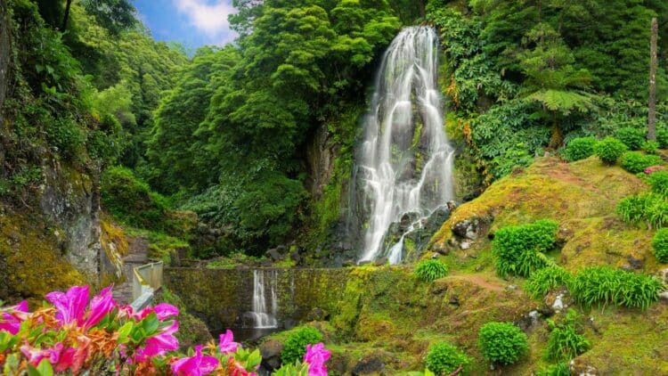 Cascade entourée d'une végétation luxuriante aux Açores.