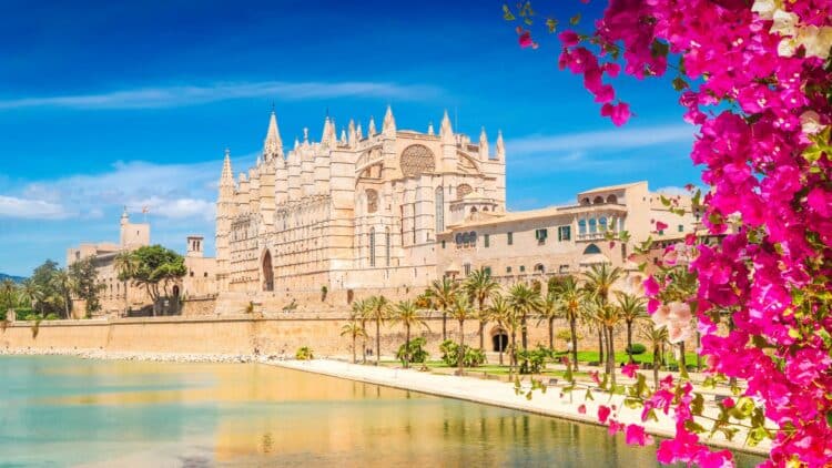 Cathédrale de Palma de Majorque bordée de palmiers et de bougainvilliers, en Espagne.