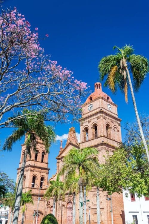 Cathédrale de Santa Cruz de la Sierra entourée de palmiers.
