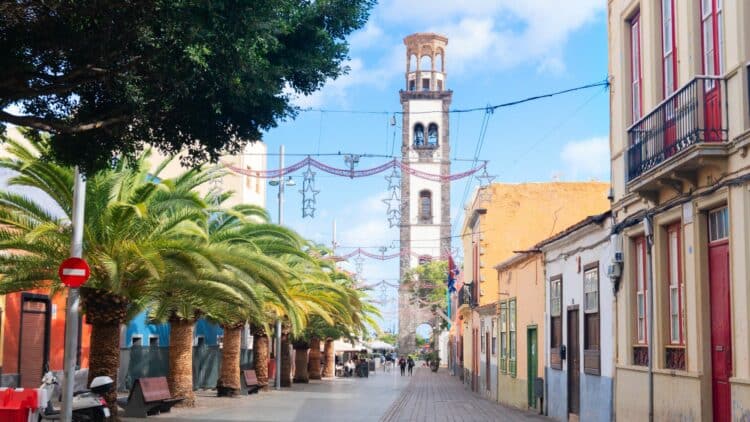 Rue bordée de palmiers menant au clocher de Santa Cruz de Tenerife.