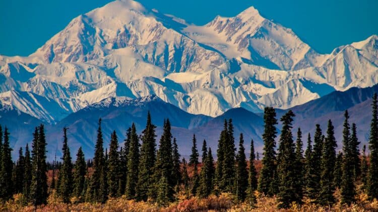 Massif montagneux enneigé en Alaska dominant une forêt boréale.