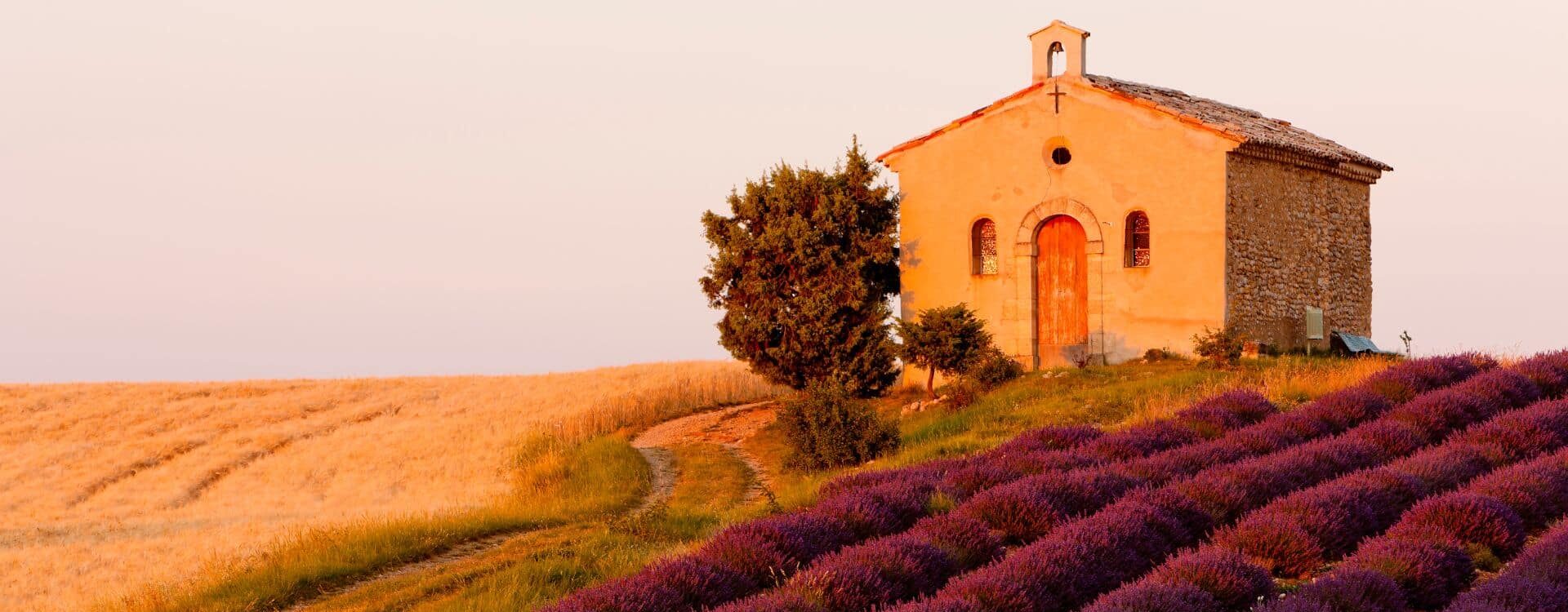 Champ de lavande en fleur avec une chapelle typique en Provence.