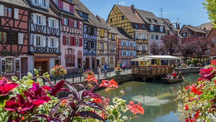 Maisons à colombages colorées bordant un canal fleuri à Colmar, en Alsace.
