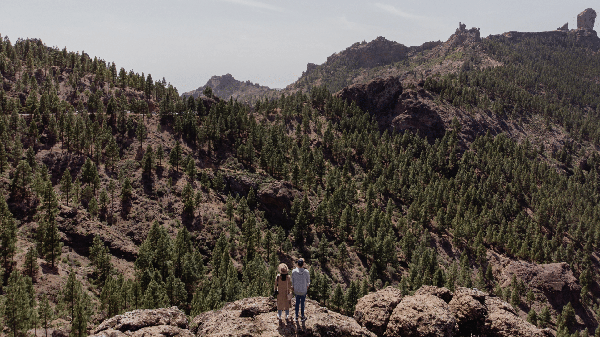 Couple admirant un panorama naturel depuis un belvédère