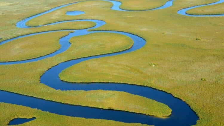Vue aérienne des méandres du delta de l’Okavango au Botswana.