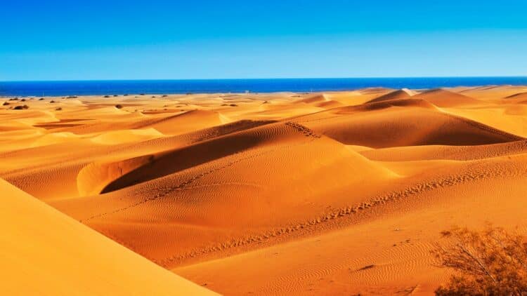 Immenses dunes de sable de Maspalomas bordées par l'océan Atlantique.