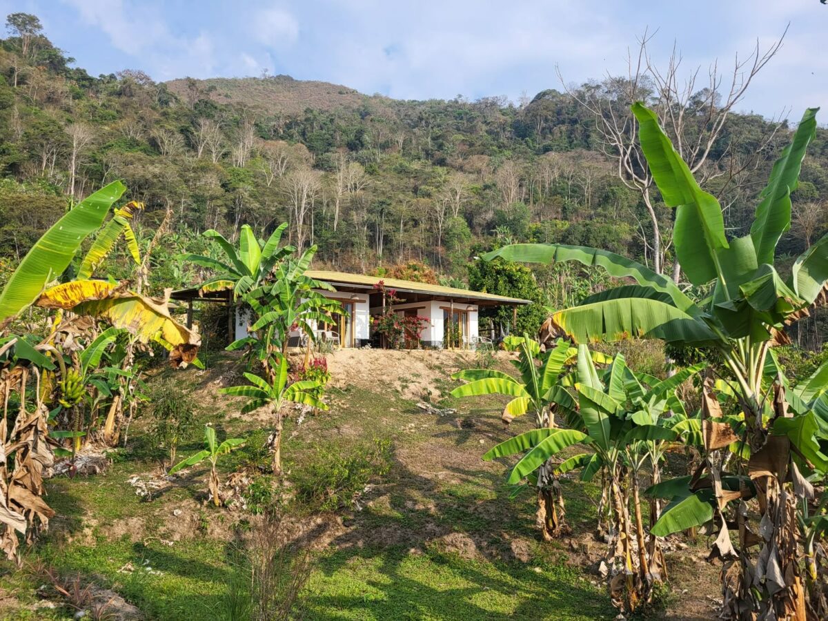 Vue extérieure de Casa Nativo au cœur de l'Amazonie péruvienne