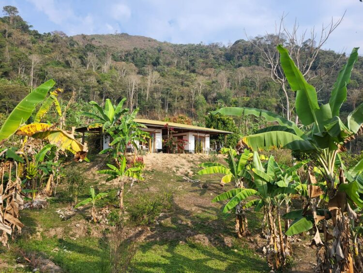 Vue extérieure de Casa Nativo au cœur de l'Amazonie péruvienne