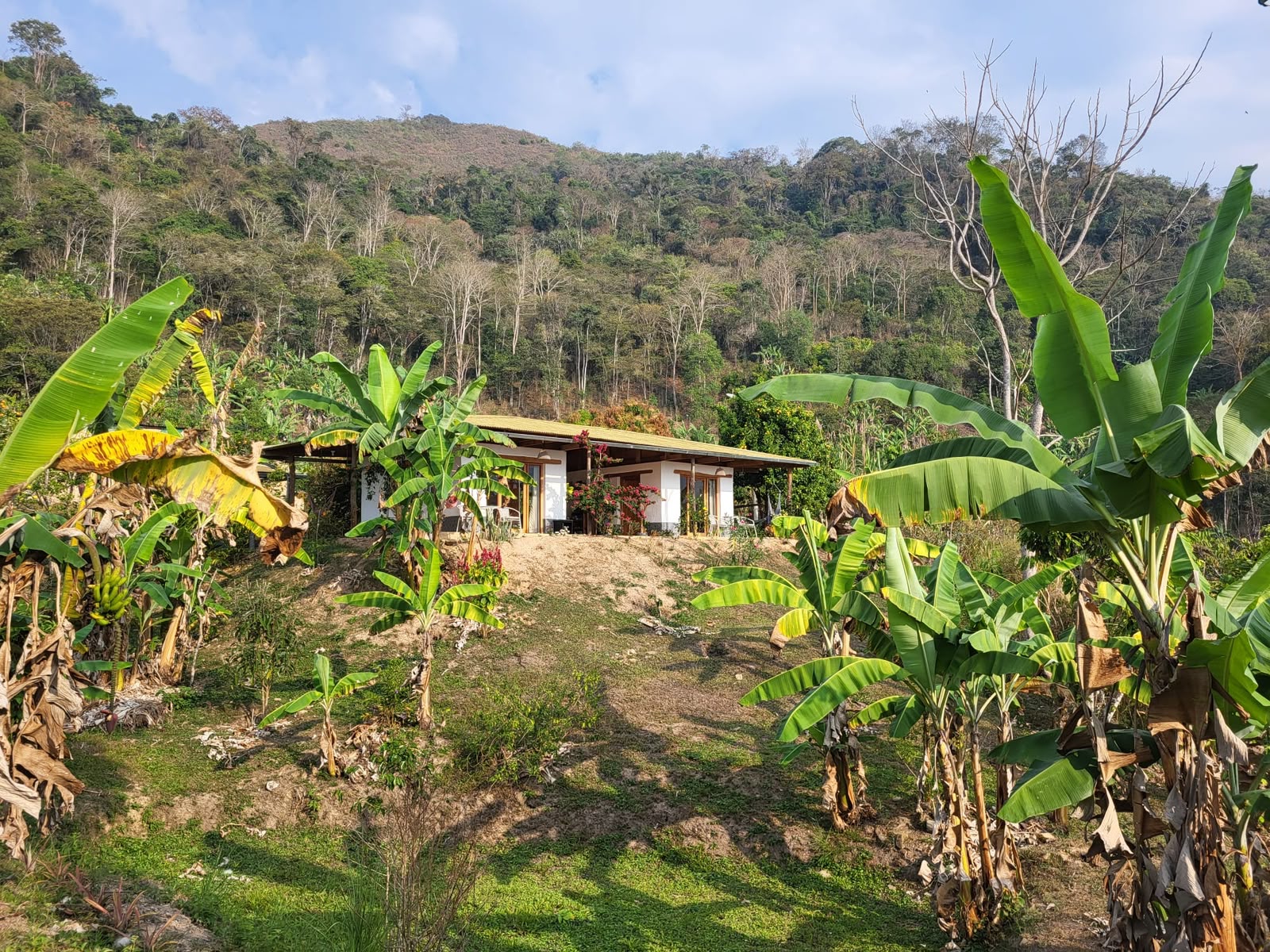 Vue extérieure de Casa Nativo au cœur de l'Amazonie péruvienne