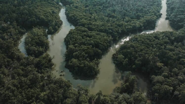 Vue aérienne des méandres d'une rivière traversant la forêt amazonienne.