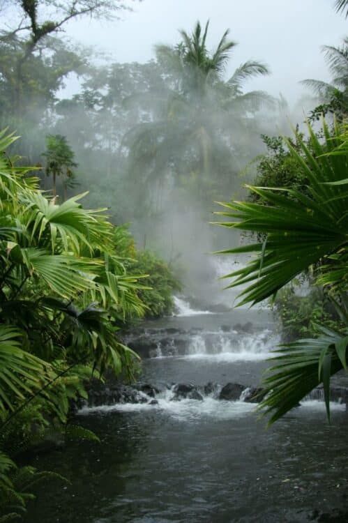 Rivière traversant une forêt tropicale brumeuse au Costa Rica.
