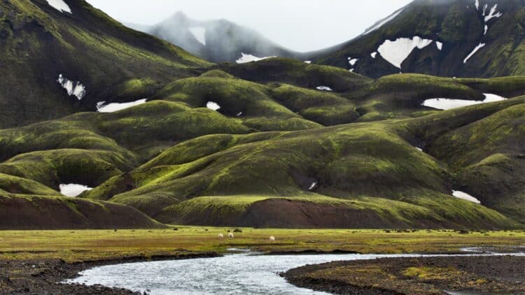 Collines volcaniques verdoyantes dans les Hautes Terres d'Islande.