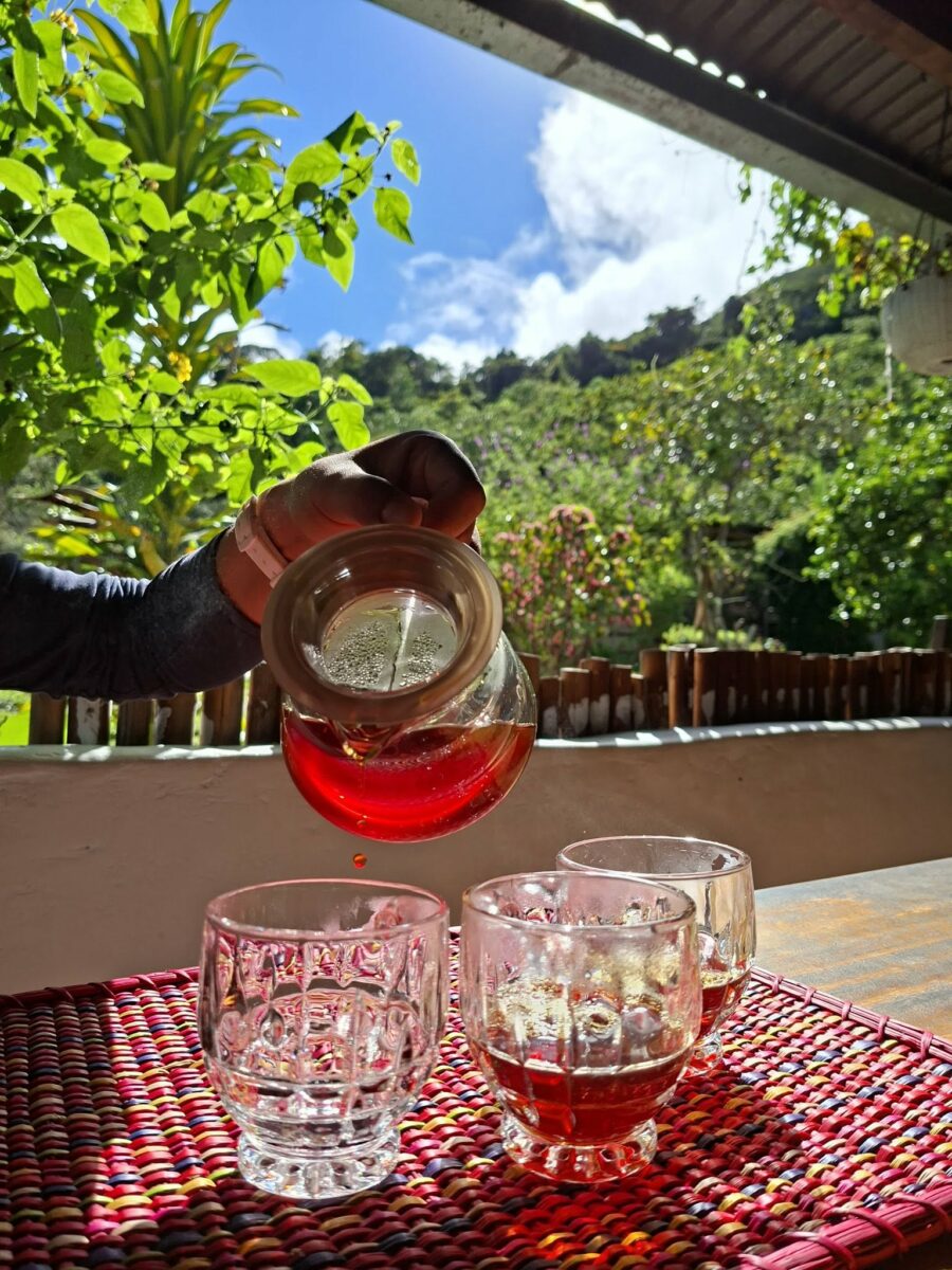 Infusion préparée à partir de plantes locales avec vue sur les montagnes du Pérou