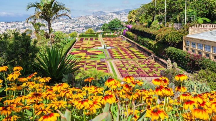 Jardin botanique de Funchal avec vue sur la ville de Madère.