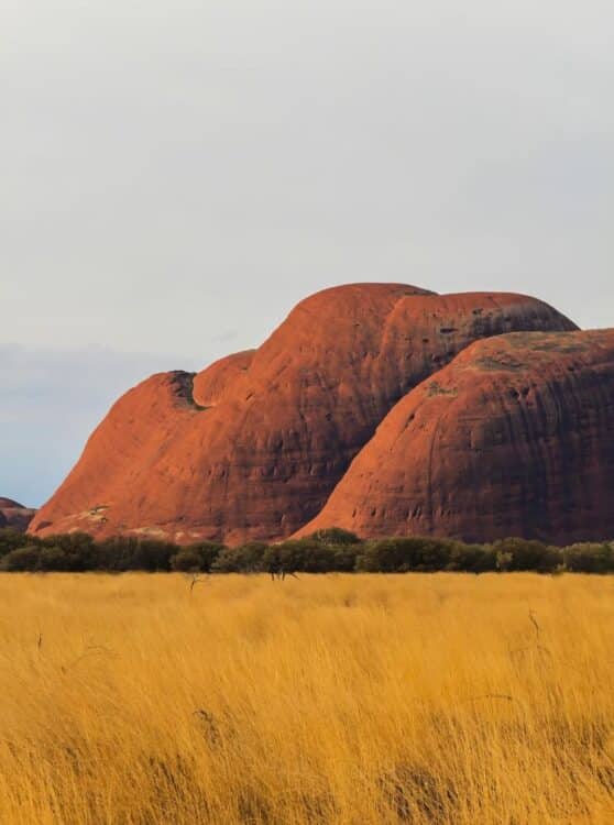 Dômes rocheux de Kata Tjuta au cœur du Centre Rouge australien.