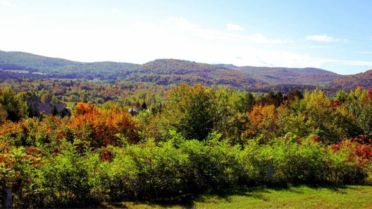 Paysage forestier coloré dans la région des Laurentides au Québec.
