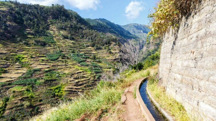 Sentier de levada longeant les montagnes verdoyantes de Madère.