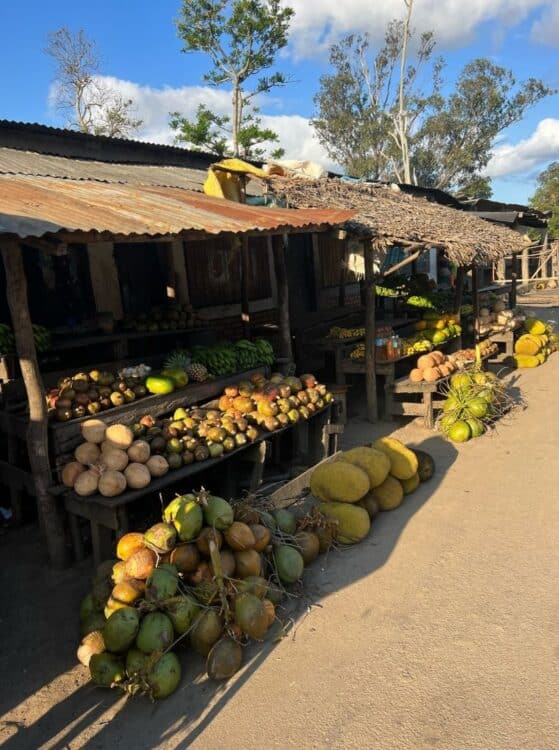 Étal de fruits tropicaux sur un marché local à Madagascar.