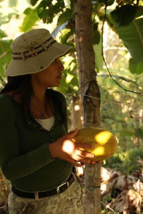 Marycielo présentant une papaye cultivée dans son jardin en Amazonie péruvienne