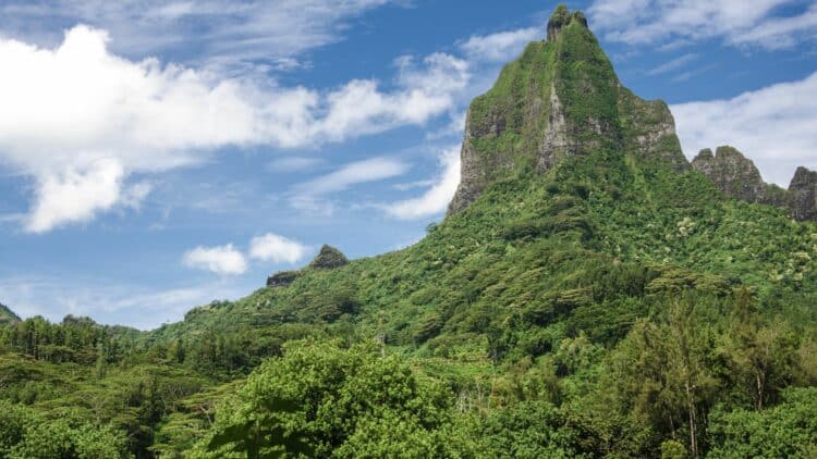 Sommet verdoyant dominant les paysages luxuriants de Moorea, en Polynésie française.