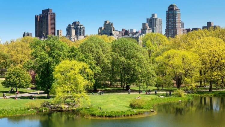 Vue de Central Park à New York avec ses espaces verts et les immeubles de Manhattan en arrière-plan.