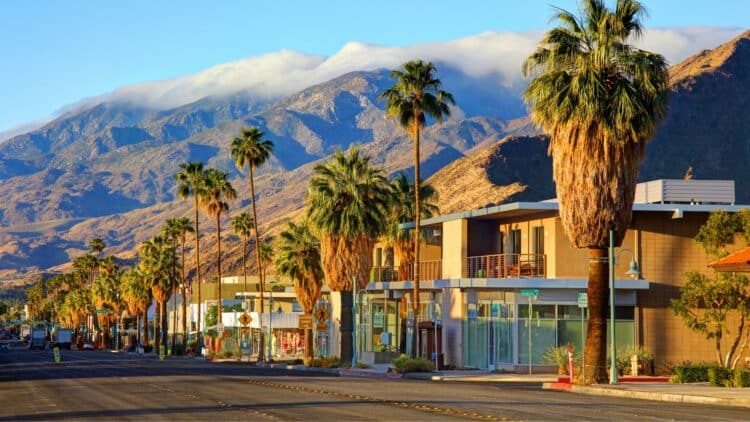 Rue bordée de palmiers avec les montagnes en arrière-plan à Palm Springs.