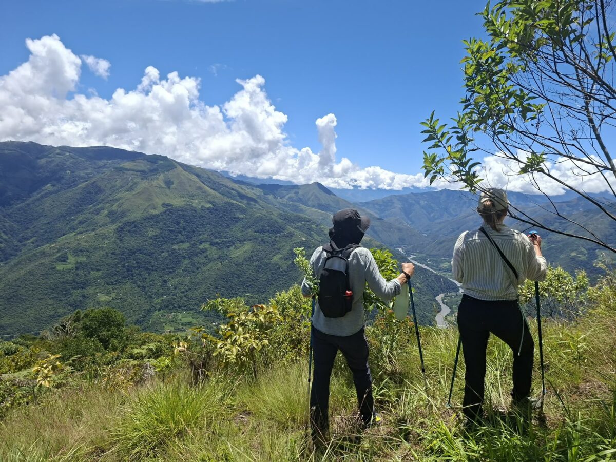 Panorama sur les montagnes et vallées de l'Amazonie péruvienne