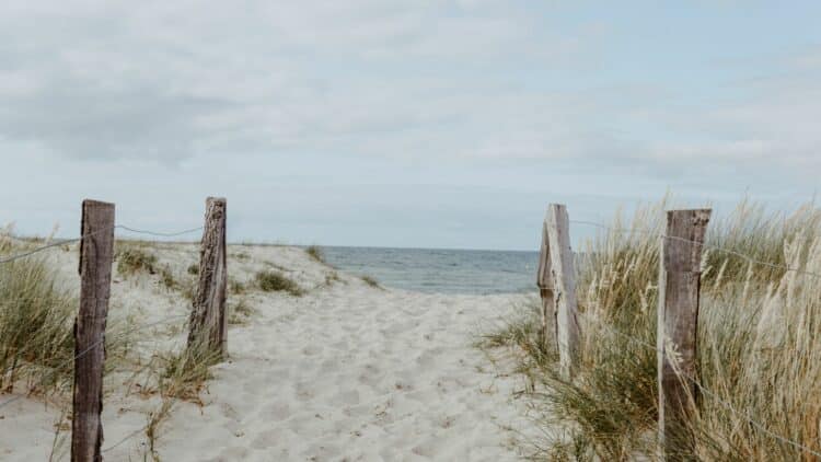 Accès à une plage de sable bordée de dunes sur la côte de la mer Baltique.