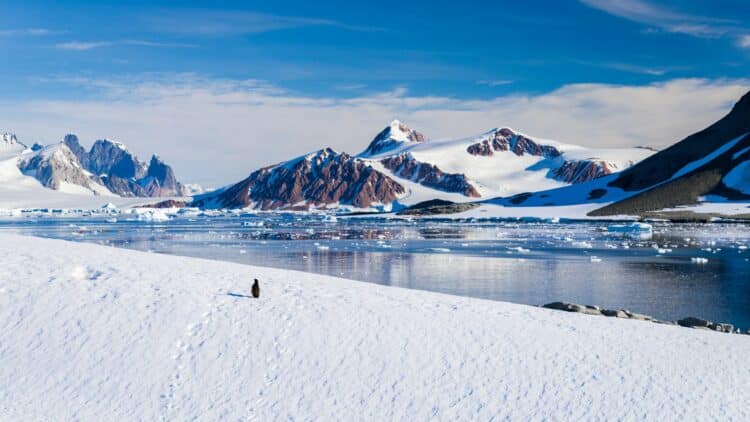 Paysage de montagnes enneigées et de glace en Antarctique.