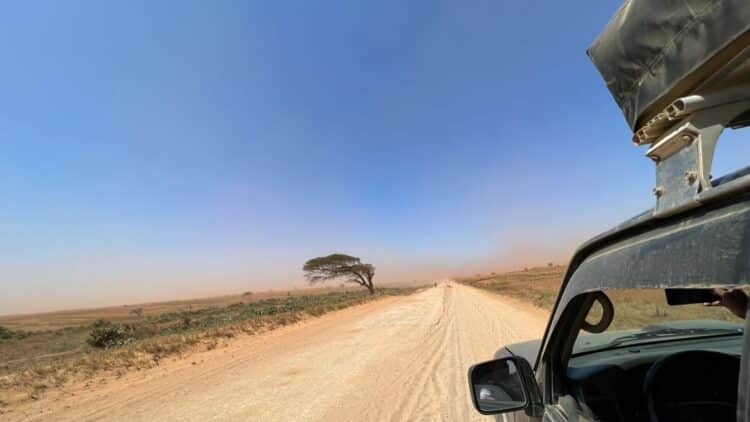 Piste traversant les paysages sauvages du sud de Madagascar.