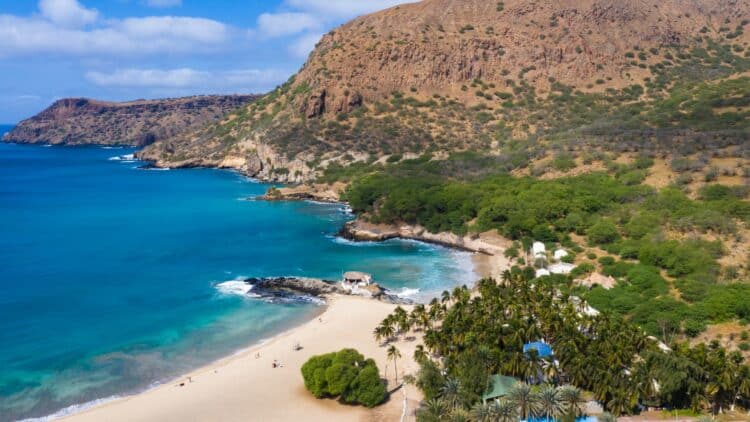 Plage bordée de palmiers sur la côte du Cap-Vert.