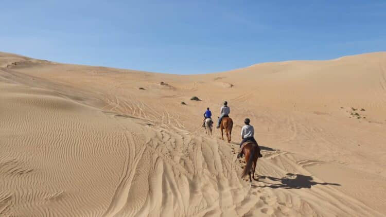 Cavaliers traversant les dunes du désert marocain.
