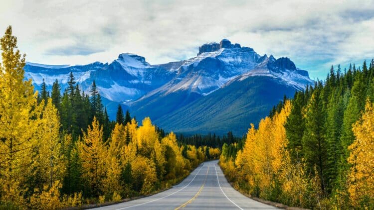 Route traversant les paysages montagneux du parc national de Jasper.