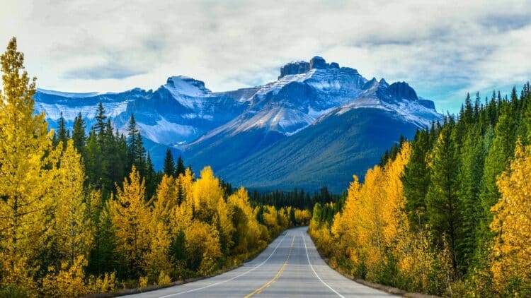 Route panoramique traversant les Rocheuses canadiennes en automne.