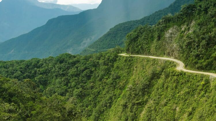 Route traversant les montagnes verdoyantes des Yungas en Bolivie.