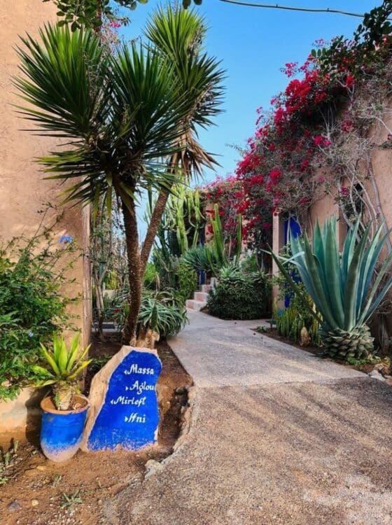 Petite ruelle bordée de plantes et de bougainvilliers dans un village marocain.