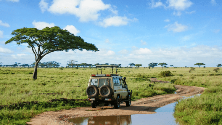 Safari en 4x4 dans la savane du Serengeti en Tanzanie
