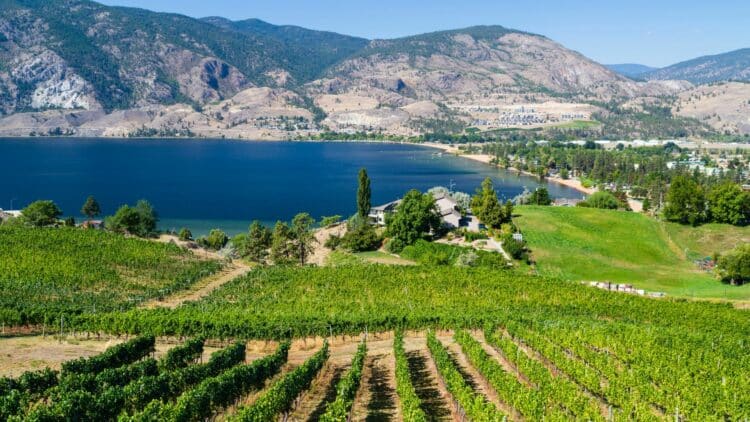 Vignobles de la vallée de l’Okanagan surplombant un lac en Colombie-Britannique.