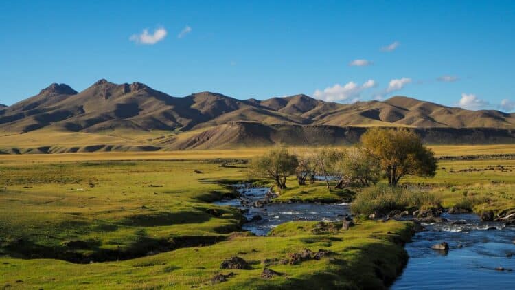 Rivière traversant la vallée de l’Orkhon en Mongolie.