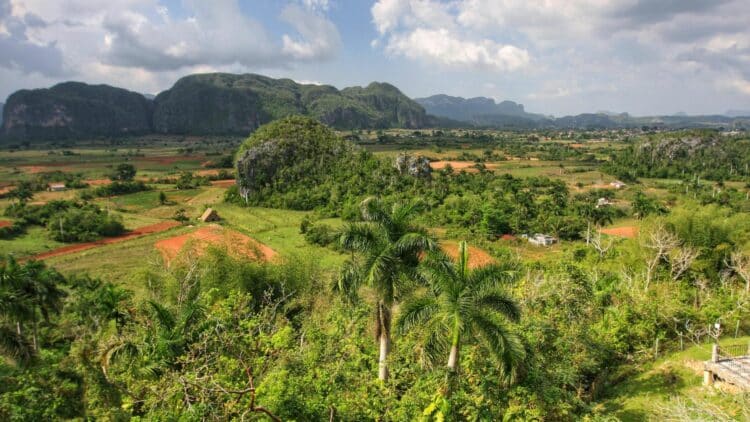 Vue panoramique sur la vallée de Viñales et ses mogotes à Cuba.